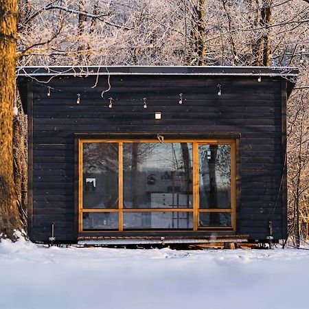 Beautiful Tiny House On The Lake Side. Trakai Eksteriør bilde